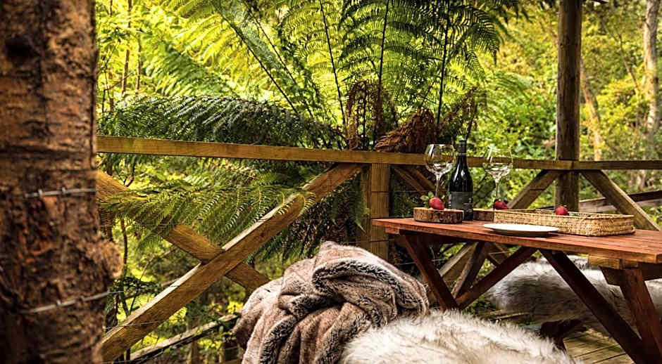 Cradle forest inn