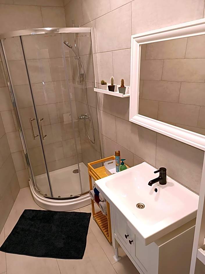 Apartments Romantic and Family Room Zemlinski