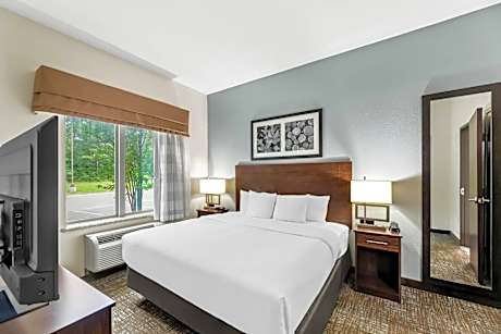 Mobility and Hearing Accessible Suite with 1 King Bed and Kitchen