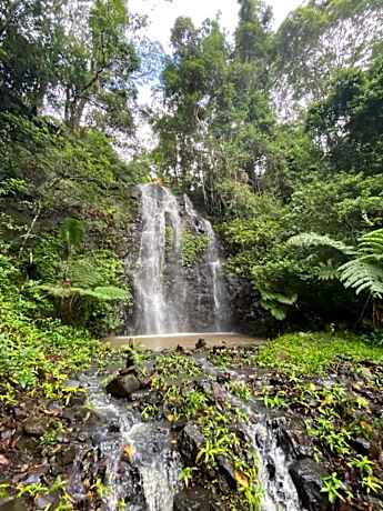Nimbin waterfall retreat