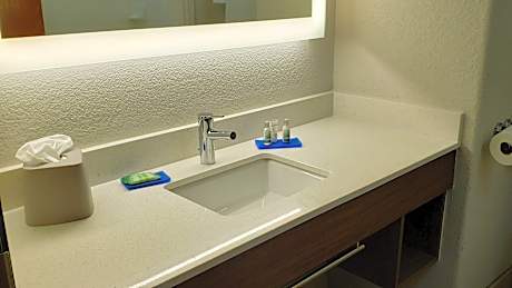 1 King Standard Mobility Accessible Tub