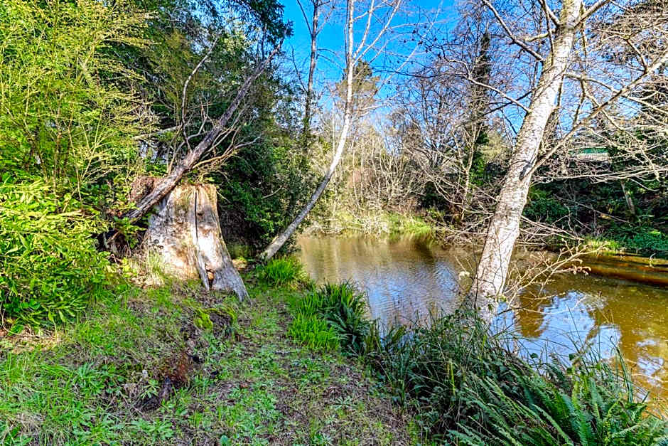 Cozy Coos Bay Retreat with On-Site Creek and Fishing!