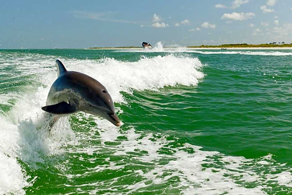 Holiday Inn Hotel & Suites Clearwater Beach South Harbourside By IHG