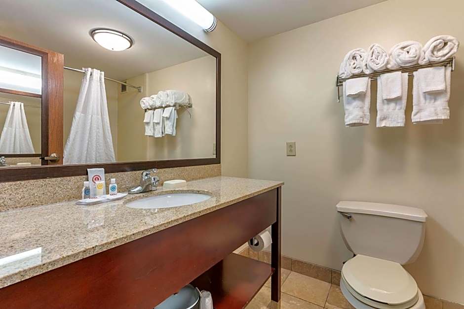 Comfort Inn Downtown Lookout Mountain Chattanooga