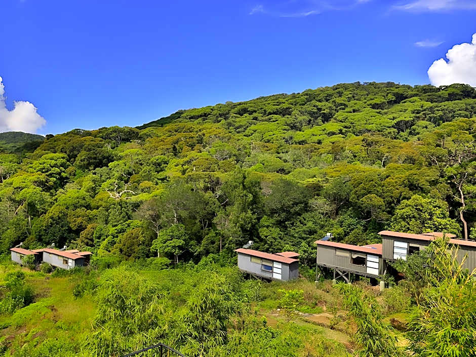 The Rainforest Ecolodge