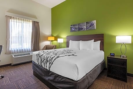 King Room - Accessible/Non-Smoking