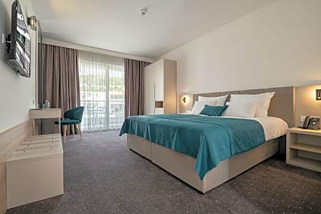 Standard Double or Twin Room with Balcony