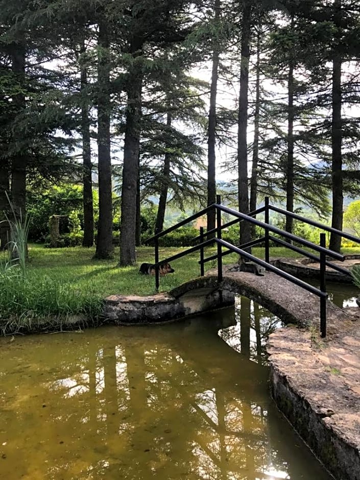 Els Avets de la Muga