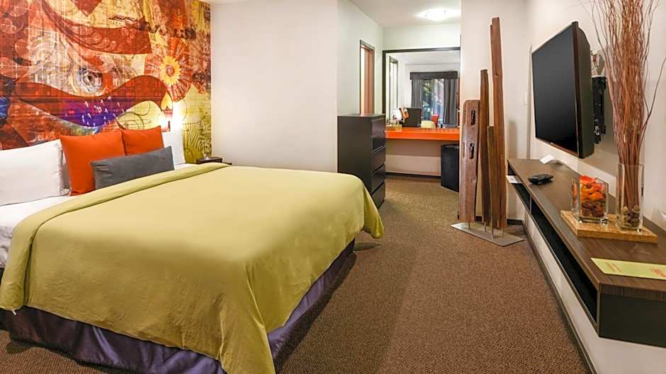 Photo 1 of 15 of Standard 1 King Bed