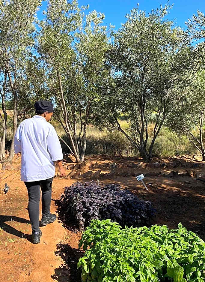 Simbavati Cederberg Ridge