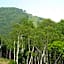 Hotel Silk in Madarao - Vacation STAY 79648v