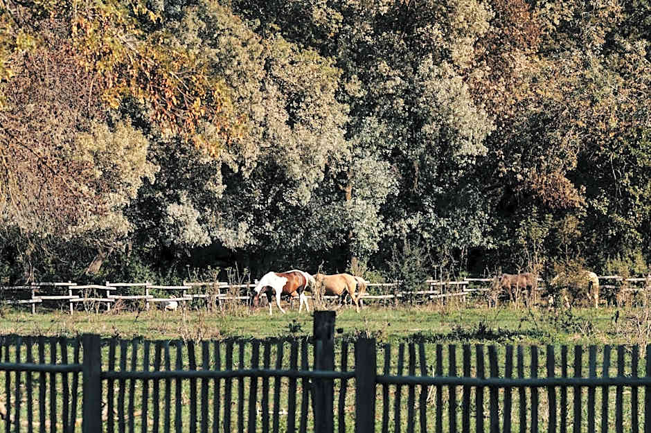 Domaine de Biar