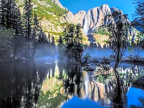 The Redwoods In Yosemite