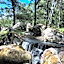 Rancho Campestre Virgen del Río