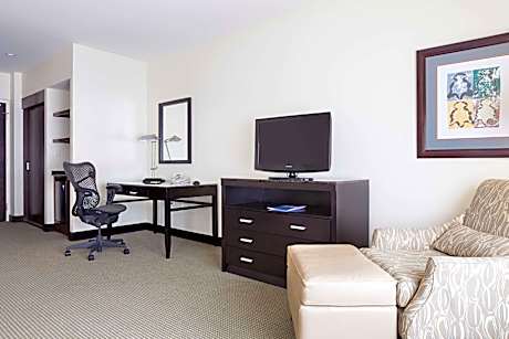 One-Bedroom King Suite