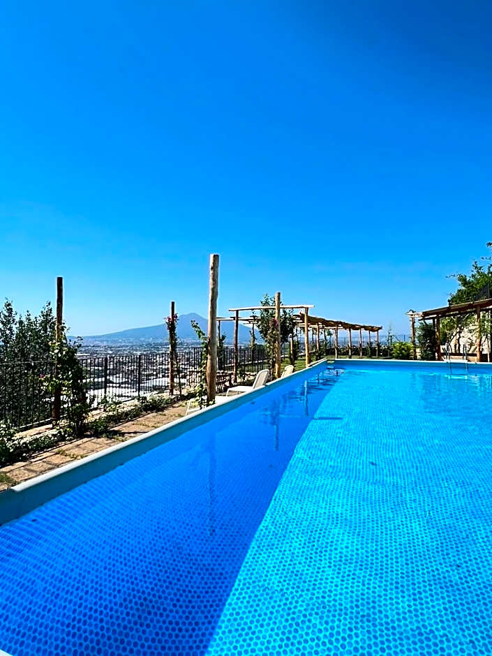 Villa Palmentiello - Villa con piscina e Vista Golfo di Napoli & Vesuvio