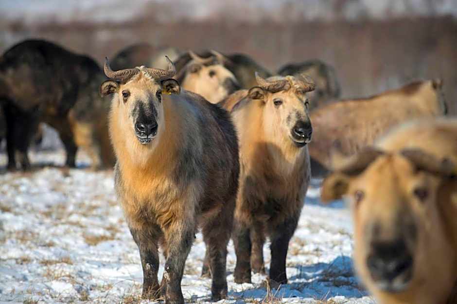 Holiday Inn Express Hotel & Suites Zanesville North By IHG