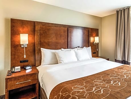 1 King Bed, Suite, Nonsmoking