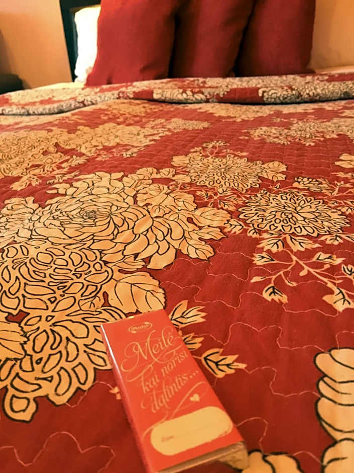 VIP Red Love house for 2