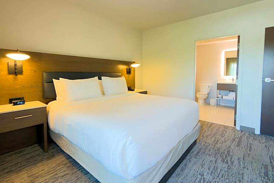 Photo 1 of 12 of 1 King Bed with Sofabed Suite, Balcony, Concierge Level