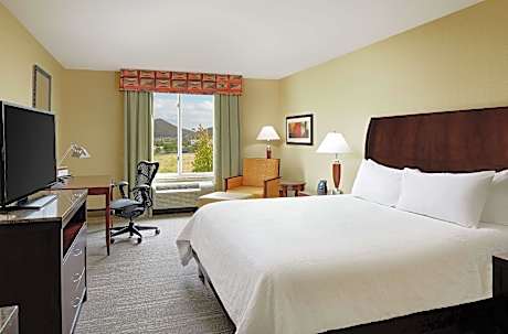 1 King Mobility/hearing Accessible Ri Shwr Vis Firealrm/door/phn Alrt Comp Wifi- Bed With Adjustable