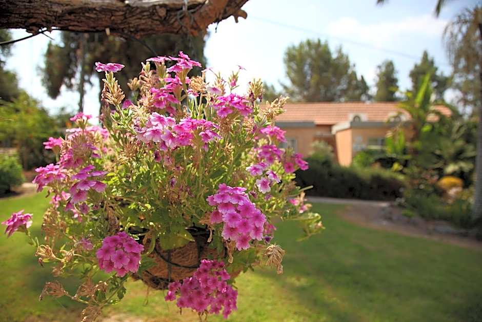 Shaar Hagolan Kibbutz Country Lodging