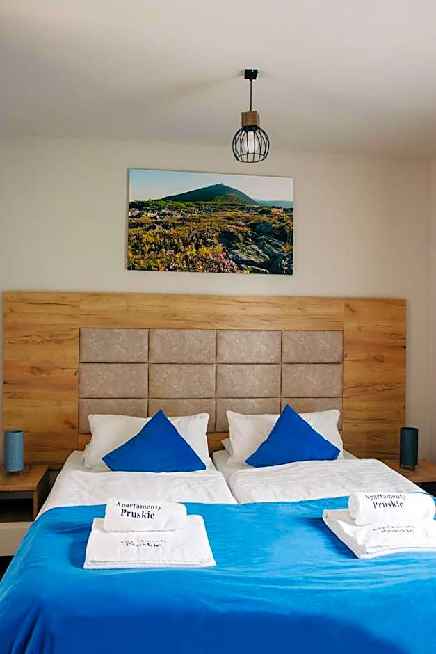 Apartamenty Pruskie