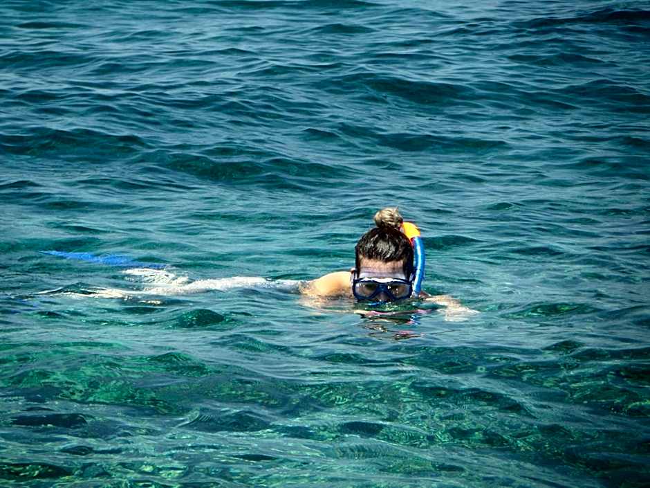 Mangrove Paradise Retreat