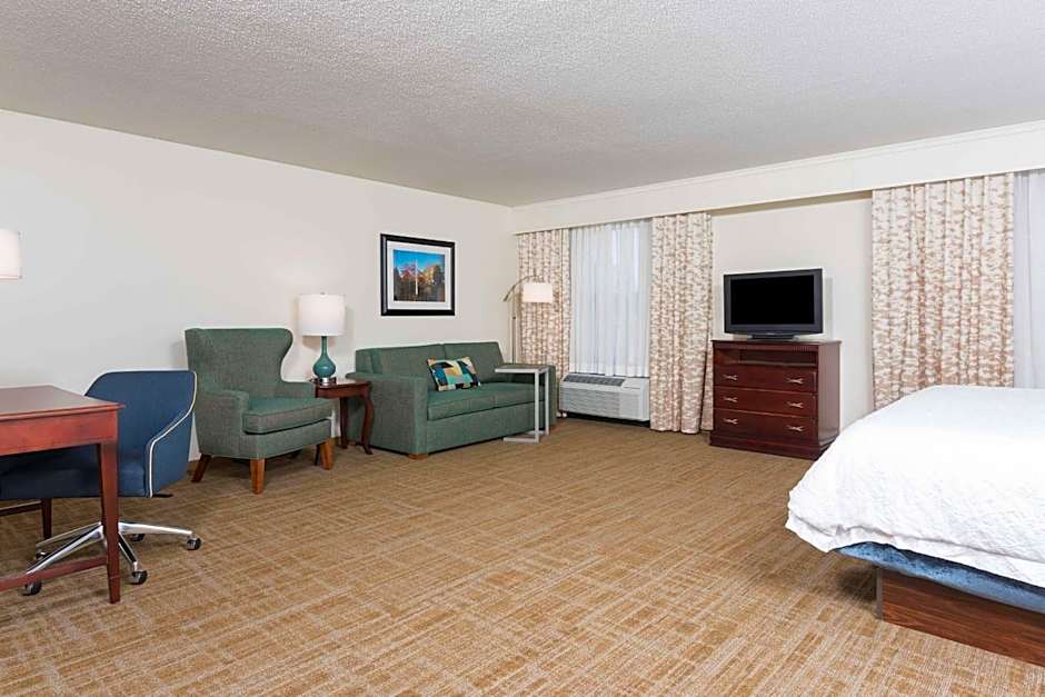 Photo 1 of 5 of Studio 1 King Bed Suite