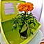Backpackers Fairytale Hostel
