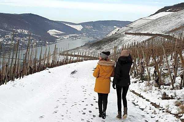 Moselstern Hotel Brixiade &Triton