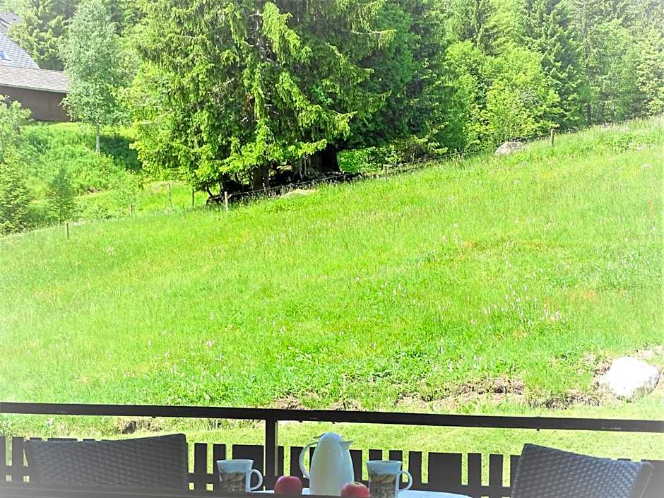 Schwarzwald-Hotel Kraeutle