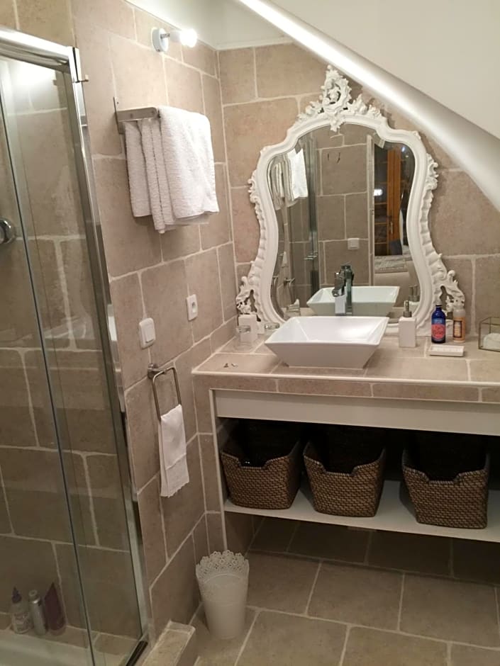 Les Prémices De La Forêt