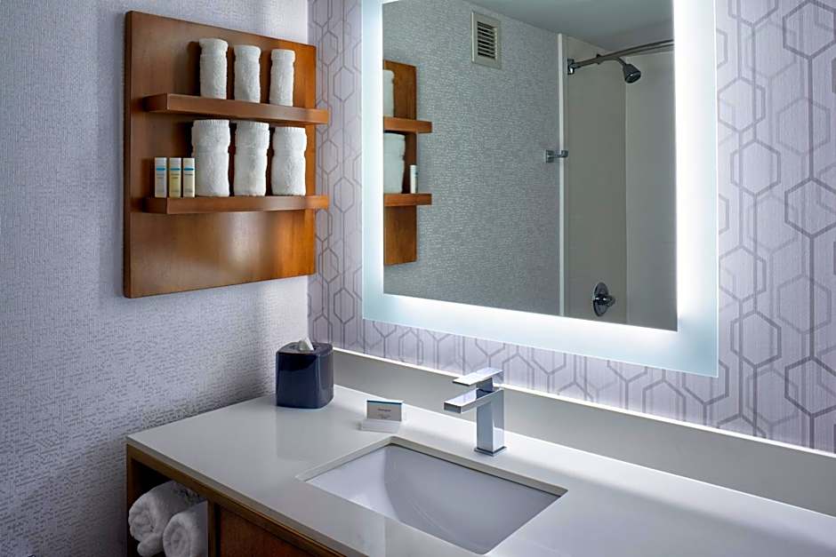 Hilton Garden Inn Detroit/Downtown