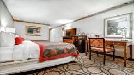 1 King Bed Mobility Accessible Room Non-Smoking