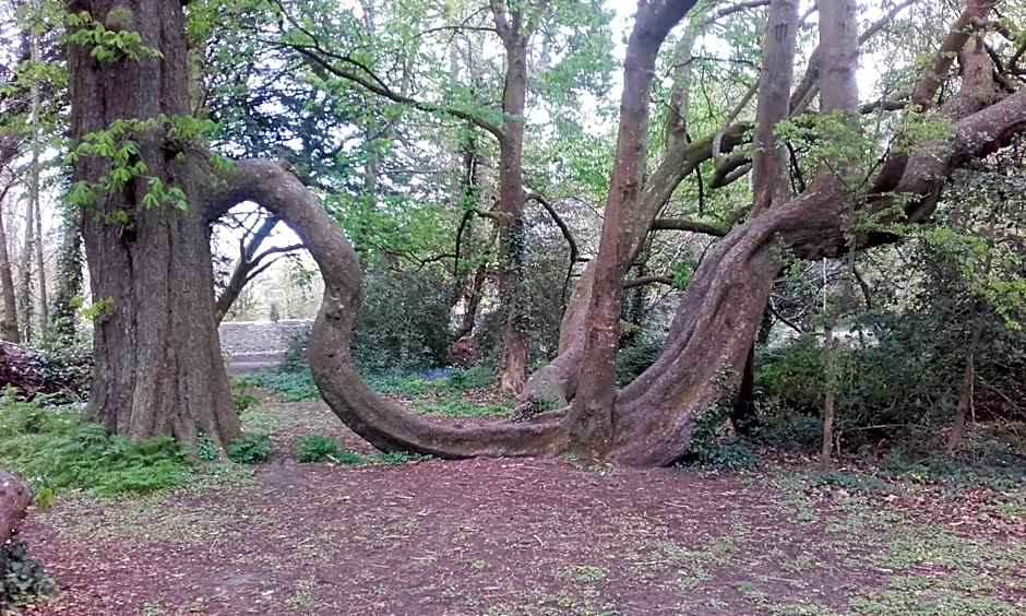 Twin Oaks Bed & Breakfast