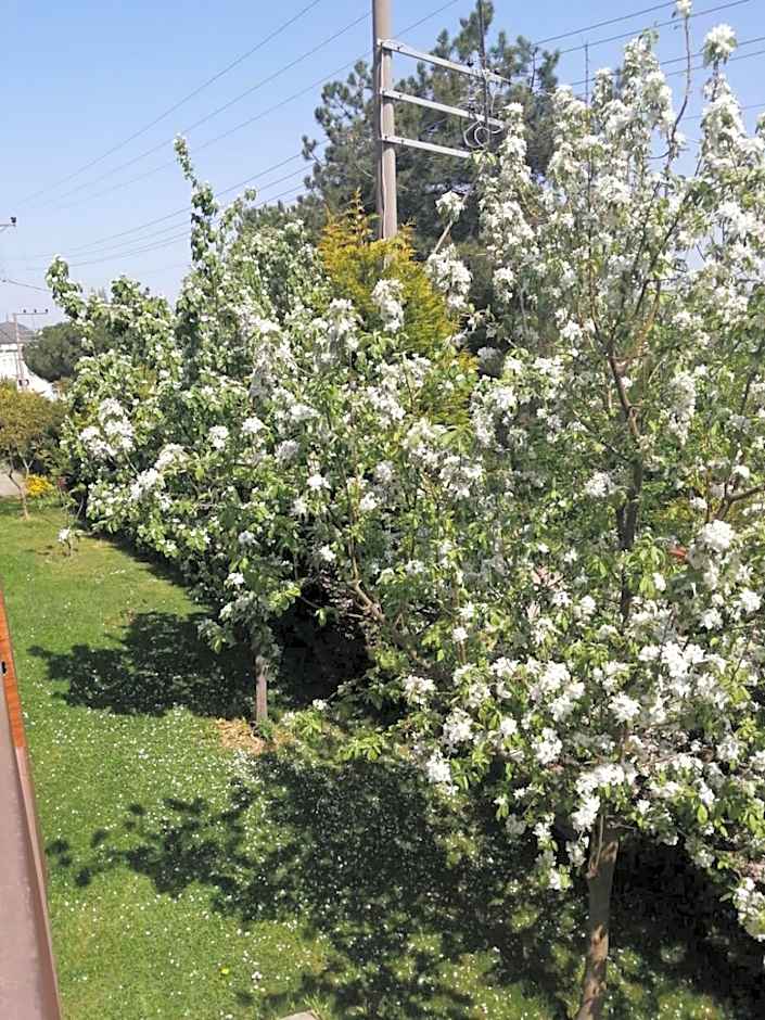 SNOW HİLL HOUSE Pansiyon