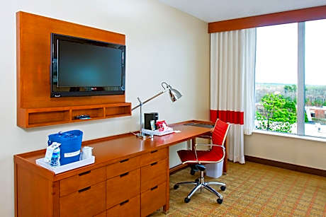 Room, 1 King Bed (Mobility Accessible, Tub)