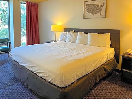 1 King Bed Suite Nonsmoking