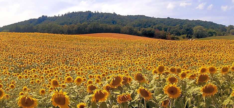 Casa Stella Country House