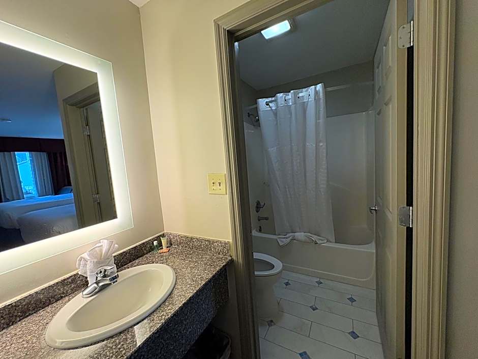 OYO Hampton South Carolina Hwy 278