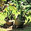 Flat Amarilis Apartamento 103