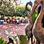Kefi Beach & Suites