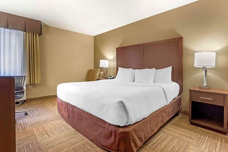 Comfort Inn & Suites Seatac