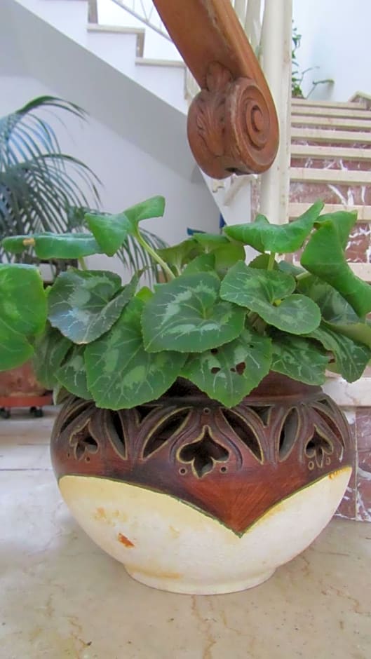 Bed & Breakfast Alice – Valderice Trapani, CA