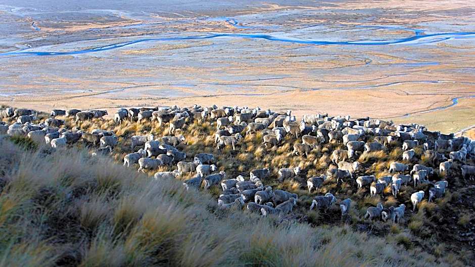 Glentanner Park Centre