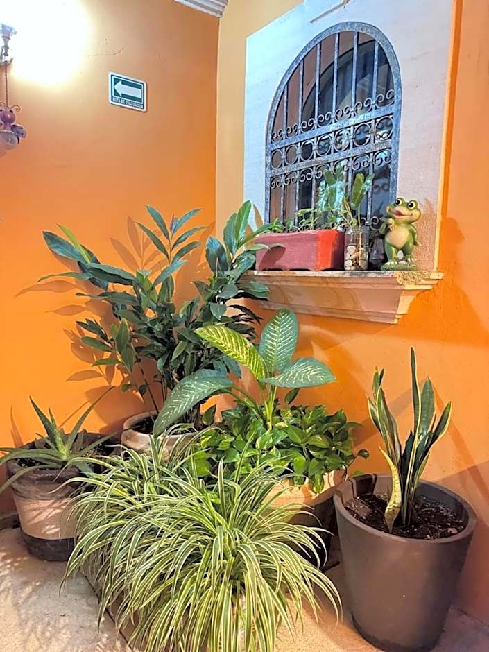 Hotel Casa Mallorca