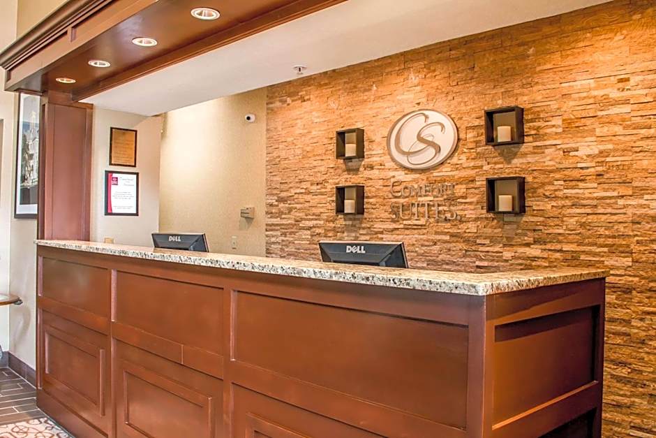 Comfort Suites New Braunfels - San Antonio Area