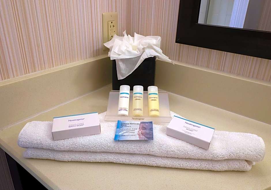 Hilton Garden Inn Buffalo Downtown