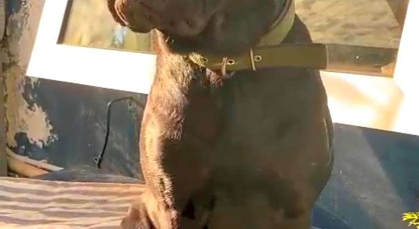 La Casa Blu di Monasteto